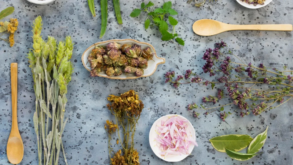 Anti-stress medicinal plants