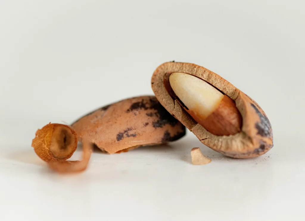 ninja creami almond milk ice cream