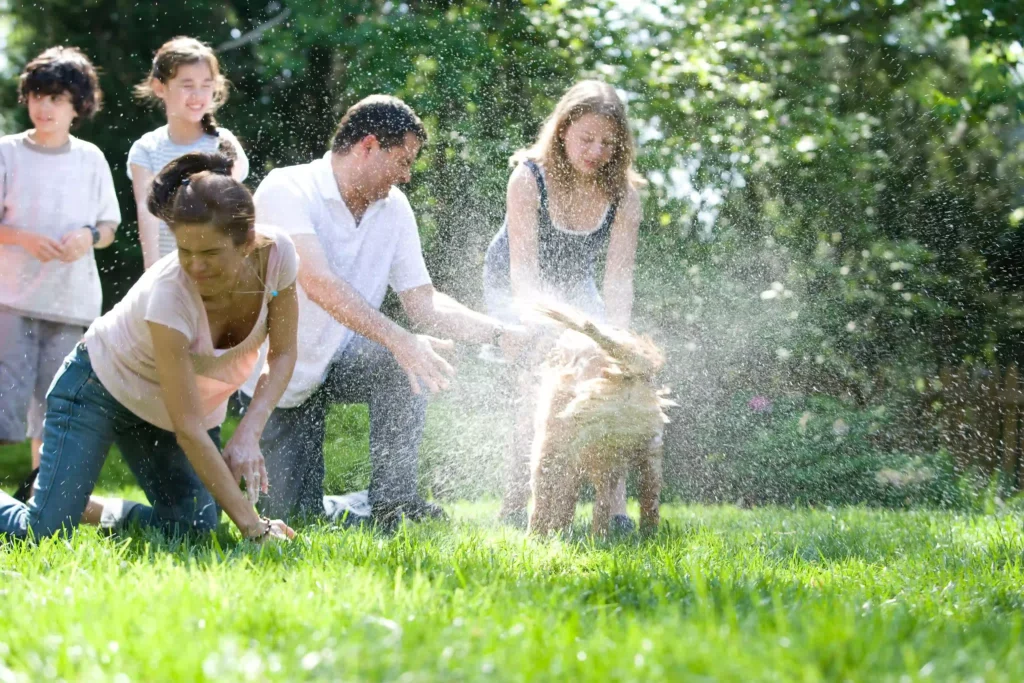 self care activities for adults