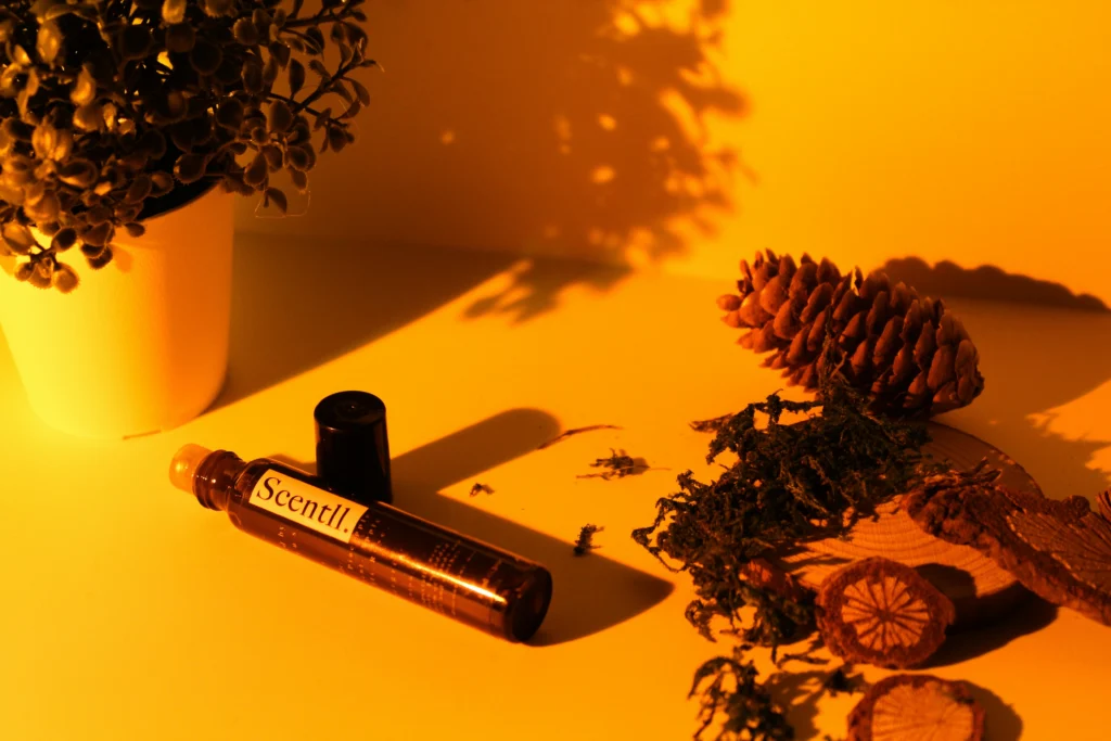 electronic cigarette cartridges