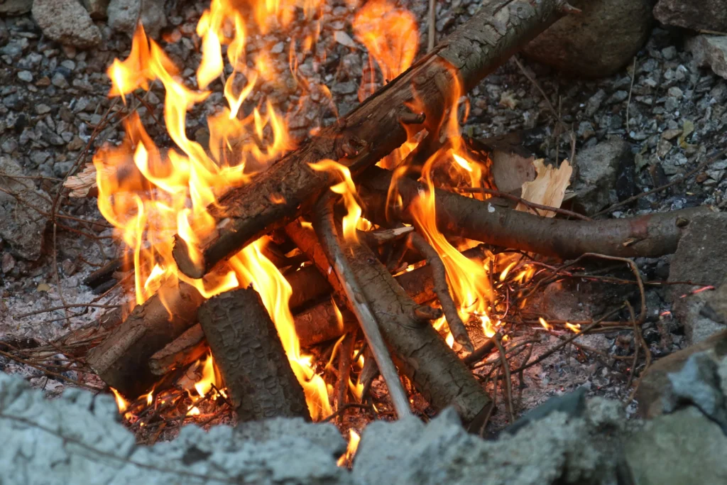 what to make on a blackstone