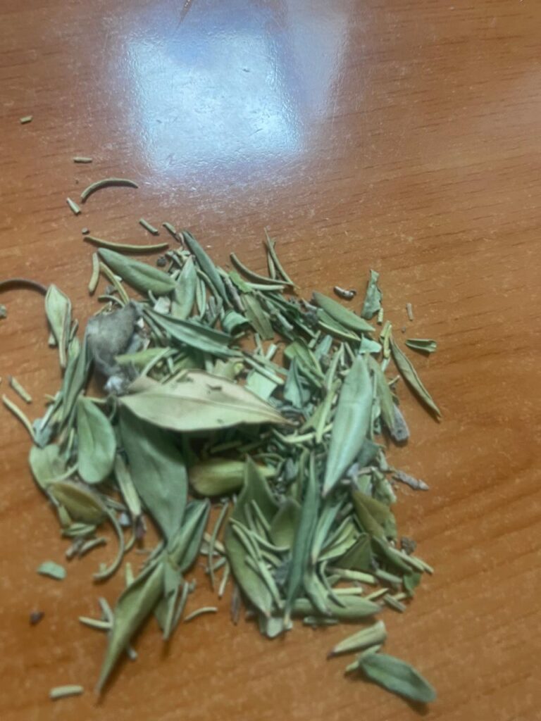 benefits of energy healing